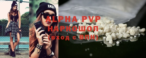 прущие грибы Баксан
