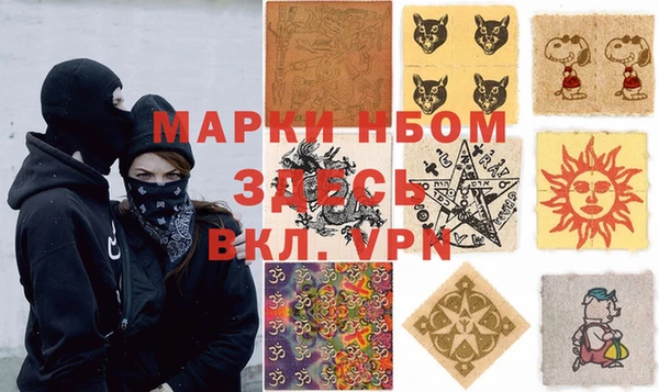 прущие грибы Баксан
