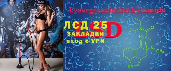 прущие грибы Баксан