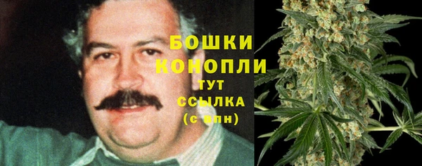 прущие грибы Баксан