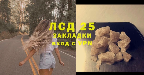 прущие грибы Баксан