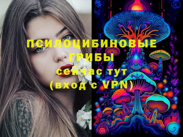 прущие грибы Баксан