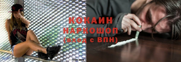 прущие грибы Баксан