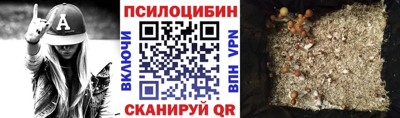 Псилоцибиновые грибы мицелий Горняк